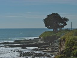 California2007-2008-018